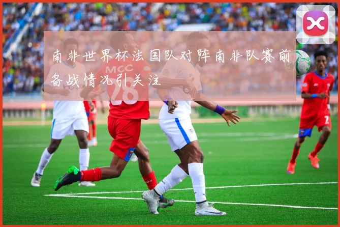 南非世界杯法国队对阵南非队赛前备战情况引关注